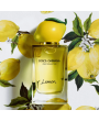 Dolce Gabbana Fruit Collection Lemon Edt 150 ml Kadın Parfüm