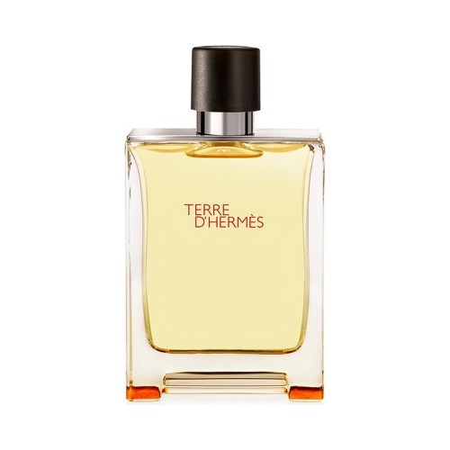 Hermes Terre D'hermes Parfüm Edt 100ml Erkek Parfüm