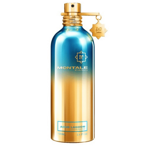 Montale Paris Aoud Lagoon Edp 100 Ml Unisex Parfüm