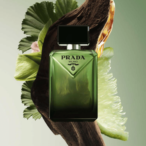 Prada Paradigme EDP 100 ml Erkek Parfüm