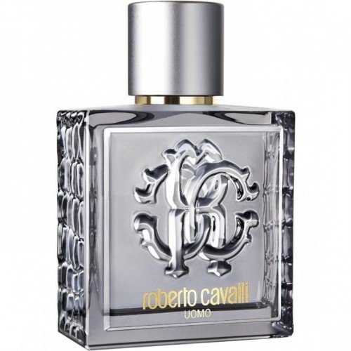 Roberto Cavalli Uomo Silver Essence Edt 100ml Erkek Parfüm