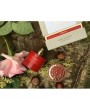 Tiziana Terenzi Porpora 100ml Unisex Parfüm