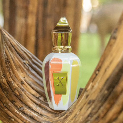 Xerjoff Coexistence Edp 100 ml Unisex Parfüm