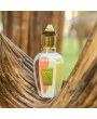 Xerjoff Coexistence Edp 100 ml Unisex Parfüm